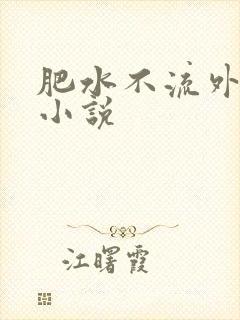 肥水不流外人田小说