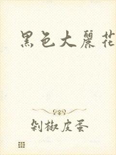 黑色大丽花图片