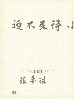 迫不及待 小穴
