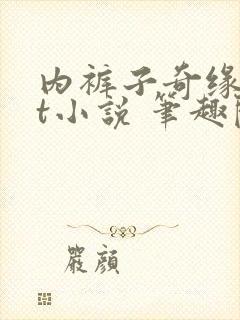 内裤子奇缘txt小说 笔趣阁封面