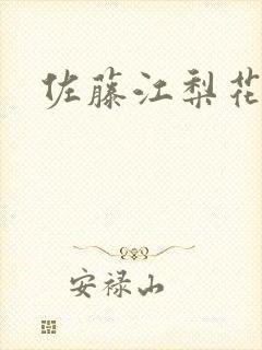 佐藤江梨花封面