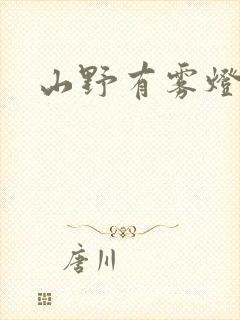 山野有雾灯封面