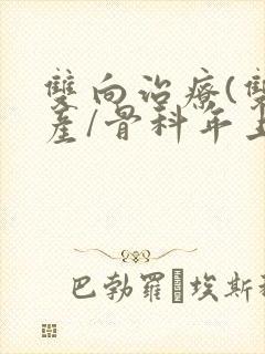 双向治疗(双/产/骨科年上)封面