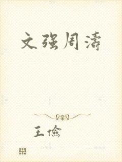 文强周涛封面