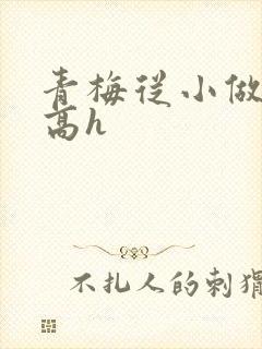 青梅从小做到大高h封面