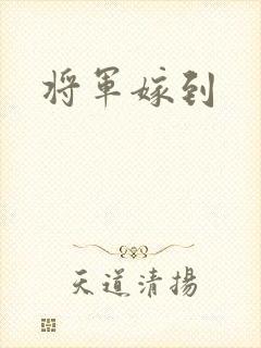 将军嫁到封面