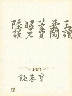 陆昭菱晋王的小说免费阅读封面