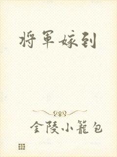 将军嫁到