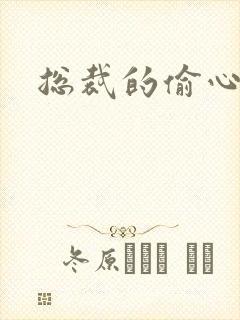 总裁的偷心娇妻