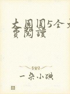 大团圆5全文免费阅读