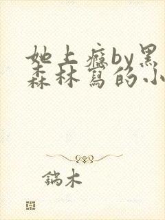 她上瘾by黑暗森林写的小说免费阅读无弹窗封面