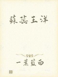 苏蕊王洋