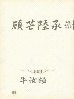 顾芒陆承洲封面