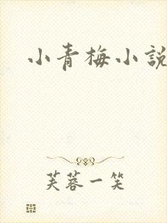 小青梅小说