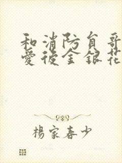 和消防员哥哥恋爱后金银花趣笔阁封面