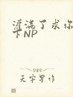 灌满了求你们停下NP