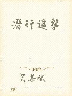 潜行追击