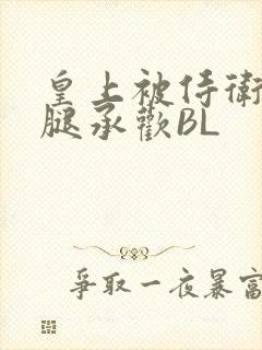 皇上被侍卫抵开腿承欢BL封面