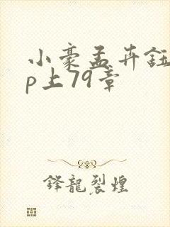 小豪孟卉钰慧三p上79章