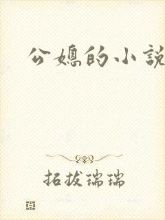 公媳的小说封面