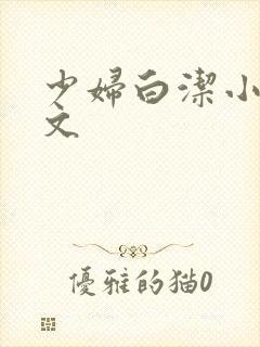 少妇白洁小说全文