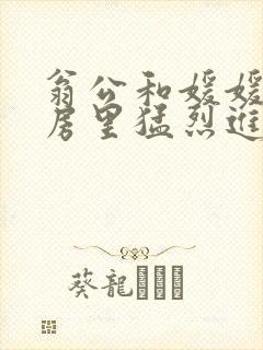 翁公和媛媛在厨房里猛烈进出