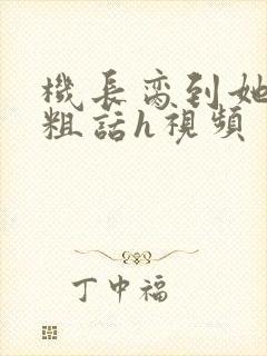 机长脔到她哭h粗话h视频