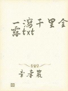 一泻千里金银花露txt