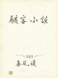 骇客小说