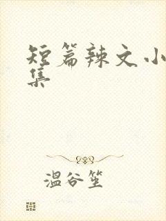 短篇辣文小说合集