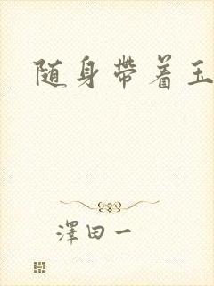 随身带着玉如意封面