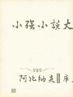 小强小说大全封面