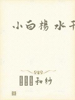 小白杨 水千丞封面