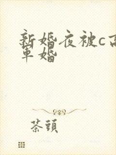 新婚夜被c高h军婚
