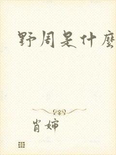 野周是什么意思封面