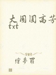 大团圆高芳小说txt