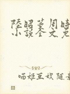 陆昭菱周时阅的小说全文免费阅读