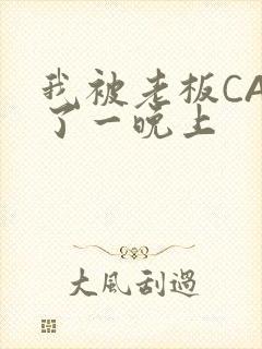 我被老板CAO了一晚上封面