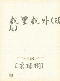 戏里戏外(现场h)