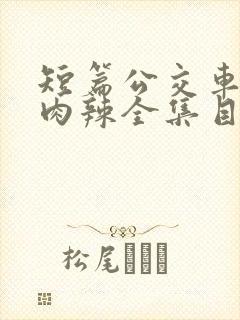 短篇公交车高h肉辣全集目录