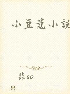 小豆蔻小说