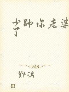 少帅你老婆又跑了