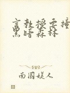 言教授要撞坏了黑暗森林封面