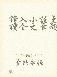 锋入小说免费阅读全文笔趣阁