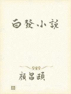 白发小说