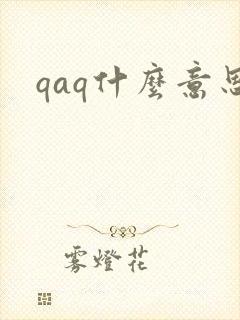 qaq什么意思封面