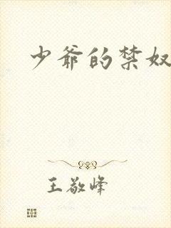 少爷的禁奴