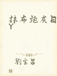 抹布炮灰日记BY封面