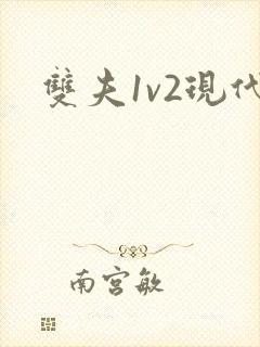 双夫1v2现代