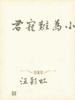 君宠难为小说